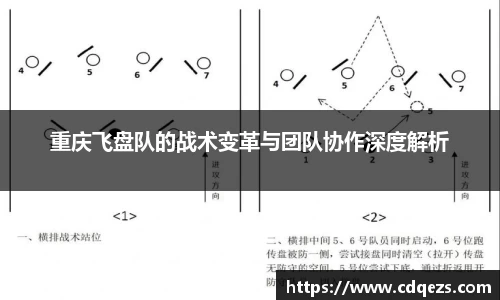 重庆飞盘队的战术变革与团队协作深度解析