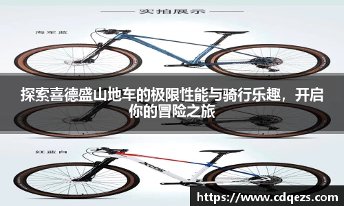 IM电竞官网入口