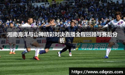 IM电竞官网入口